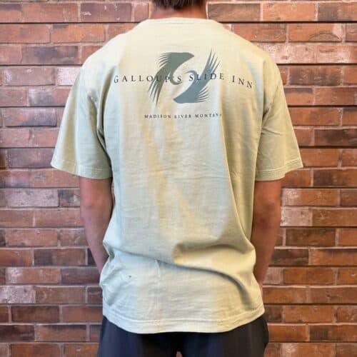 slide inn sage ouray tee back