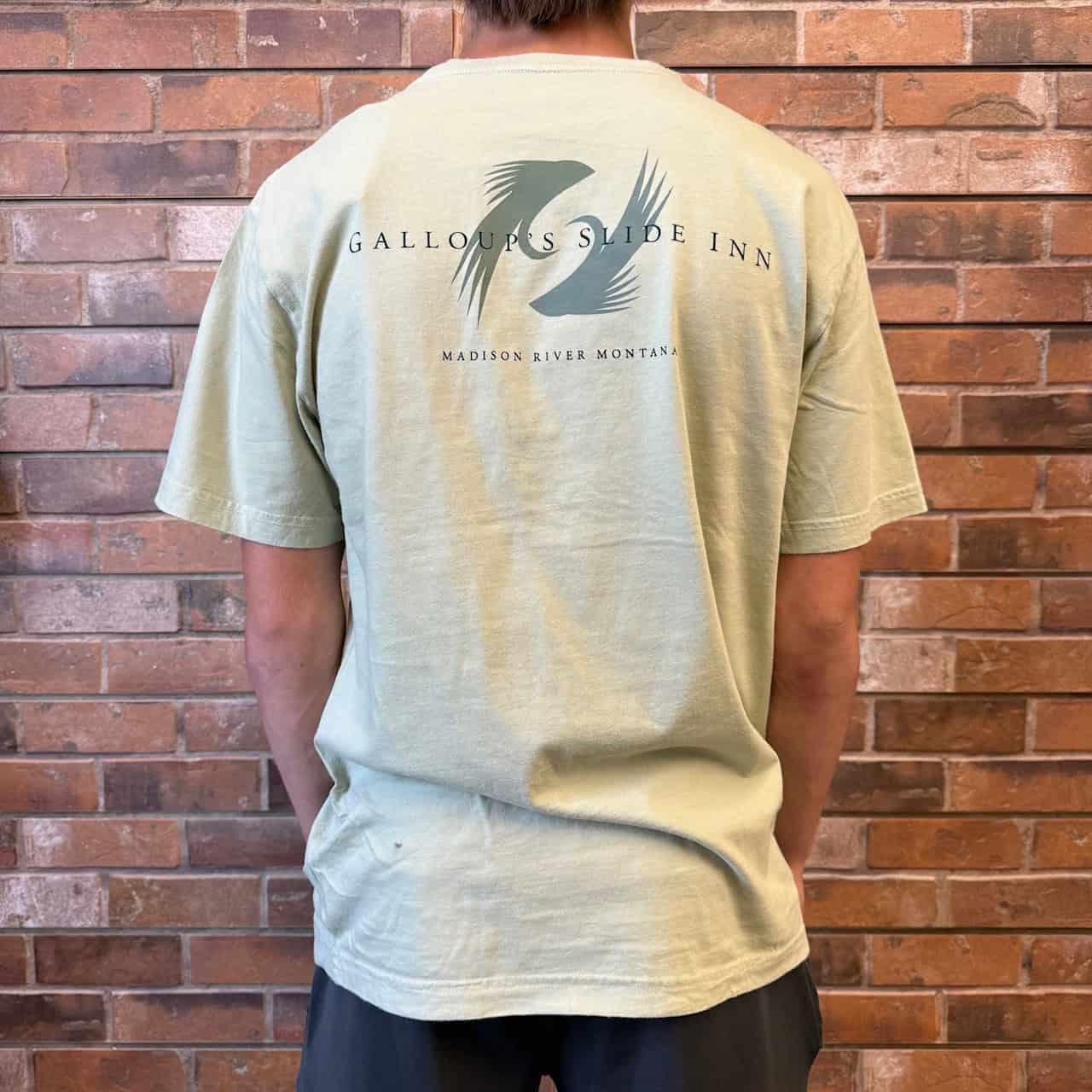 slide inn sage ouray tee back