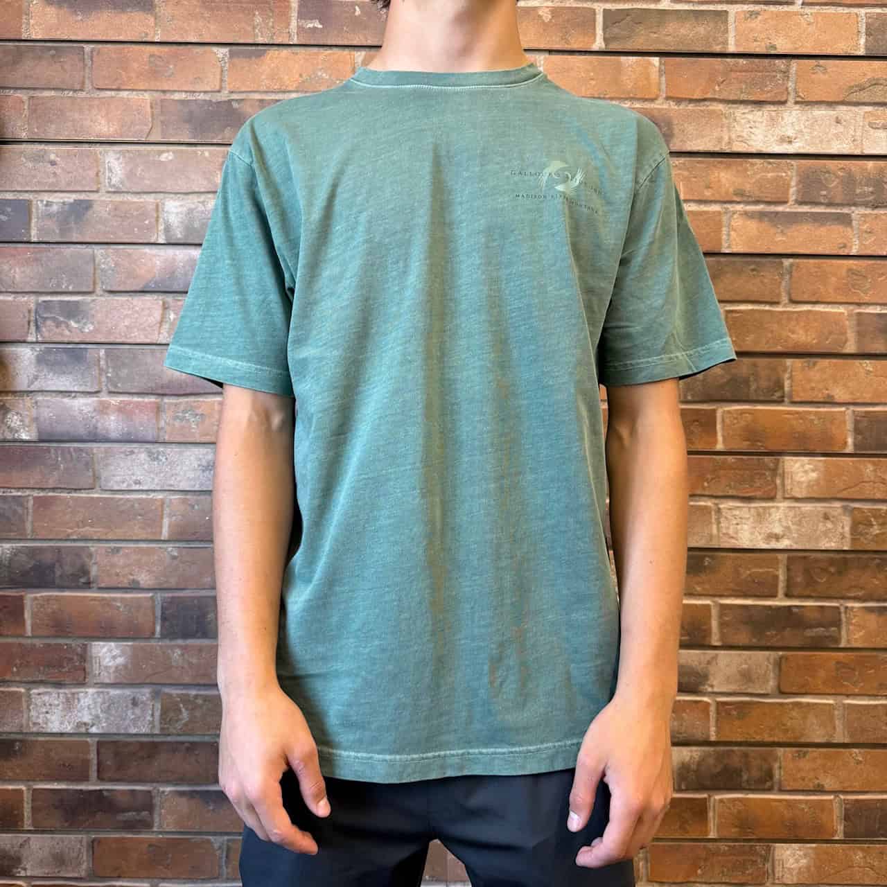 slide inn logo dark spruce tee front
