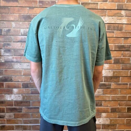 slide inn logo dark spruce tee