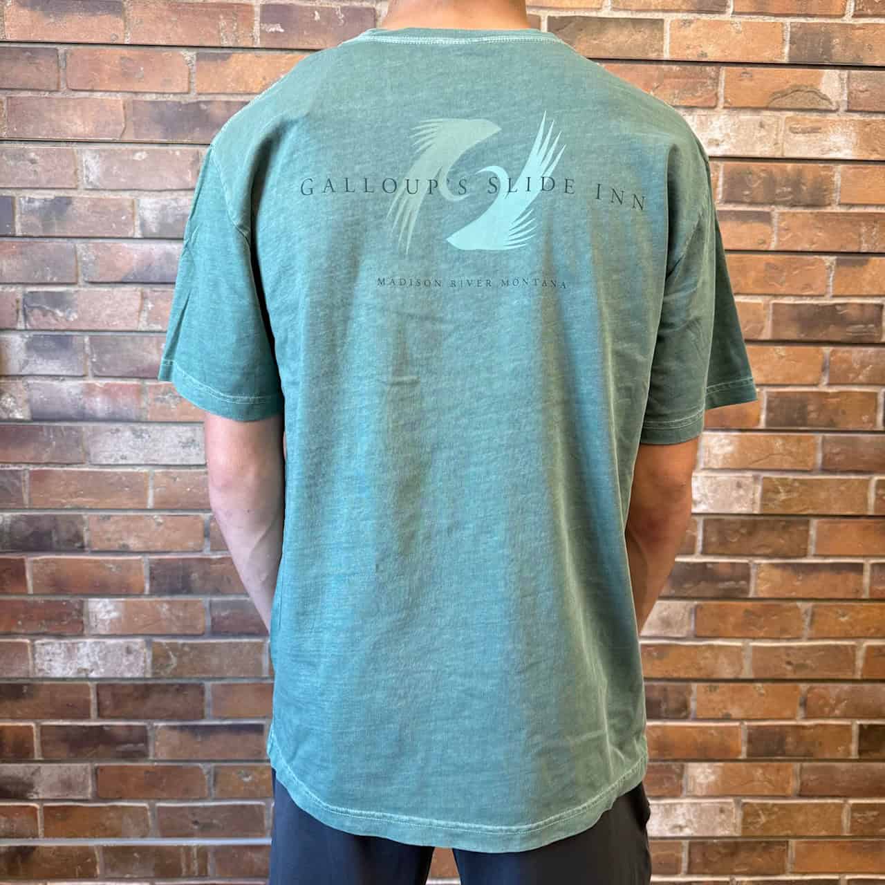 slide inn logo dark spruce tee