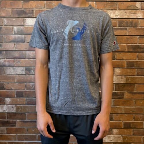 slide inn victory falls tee heather grey